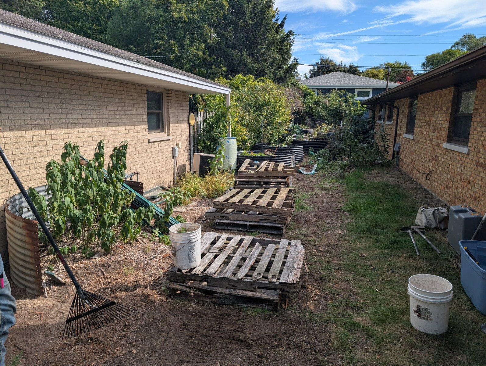 Garden Cleanup & Reorganization - Before