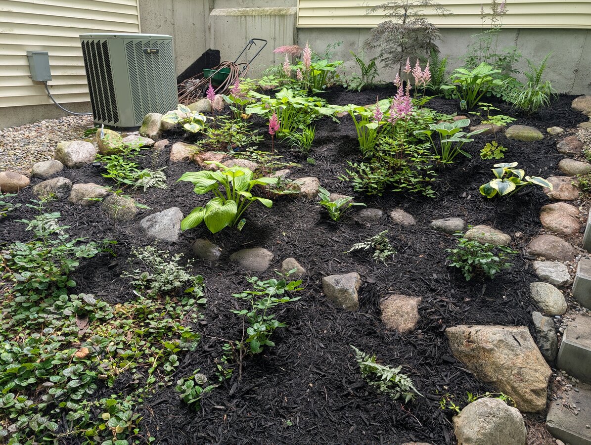 Shaded Garden Rescue