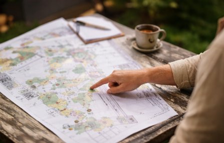 Clarify the Right Path