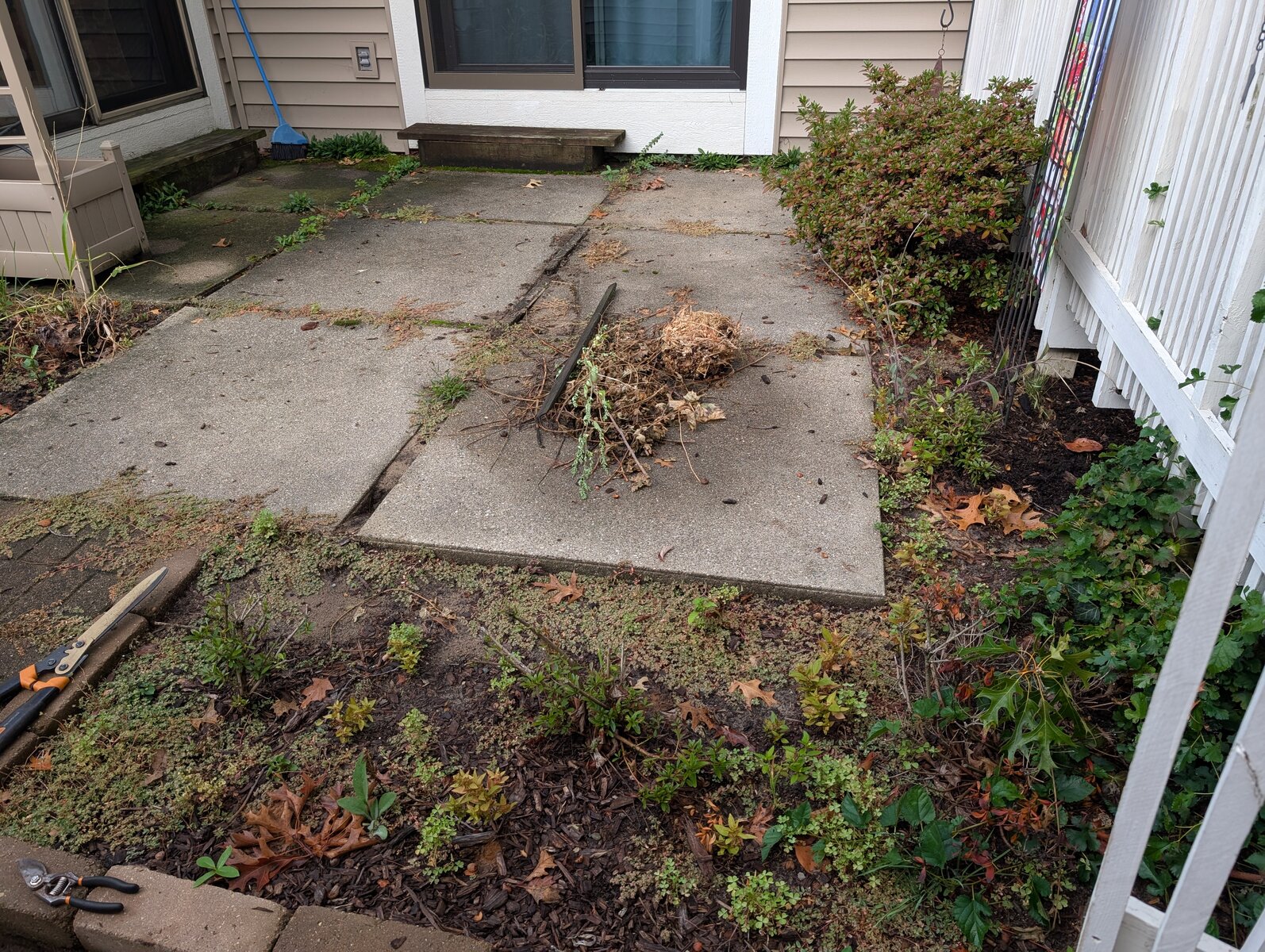Condo Patio Garden Refresh - Before